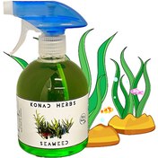 تصویر Seaweed-Essential Oil Spray 