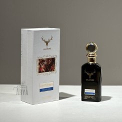 تصویر عطر ادکلن دالمور جنتلمن اورجینال DALMORE GENTELMEN 