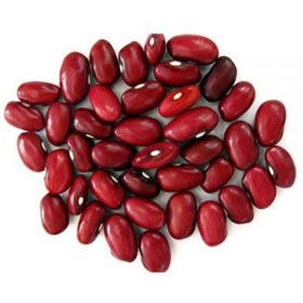 تصویر بذر لوبیا قرمز گرین فارم کد DF25 