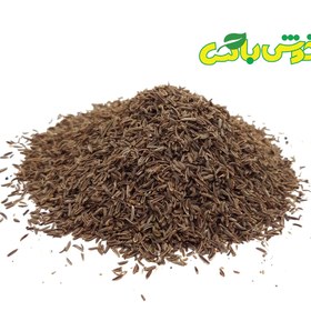 تصویر زیره سیاه 