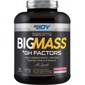 تصویر بیگ مس بیگ جوی (3 کیلوگرم) Bigjoy BIG MASS 