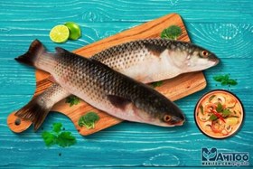 تصویر ماهی بیاح 