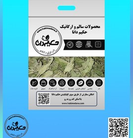 تصویر گیاه نعناع 50 گرمی 