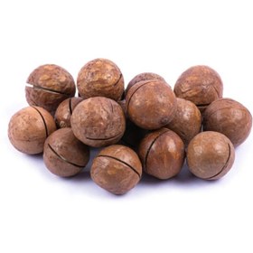 تصویر فندق ماکادمیا (500 گرم) 