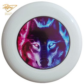 تصویر فریزبی 