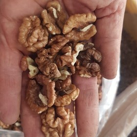 تصویر گردوی با طعم خوب و عالی با رنگ سیاه مراغه ای( 1کیلوگرمی) 