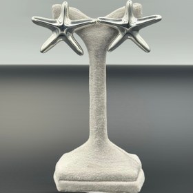 تصویر گوشواره استارفی Starfy 