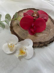 تصویر کلیپس - آلبالویی / ۱۱ سانتی متر 