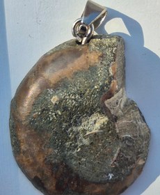 تصویر فسیل آمونیت Amonit