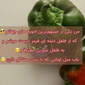 تصویر پودر پاپریکا دارچینا (100 گرم) 