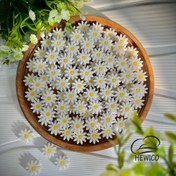 تصویر قالب قند تزیینی کد ۶۳۲ گل مینا 