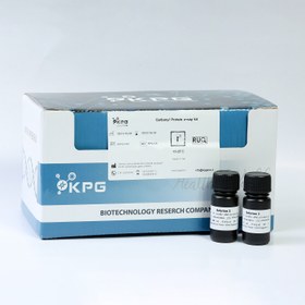 تصویر کیت اندازه گیری Carbonyl Protein 