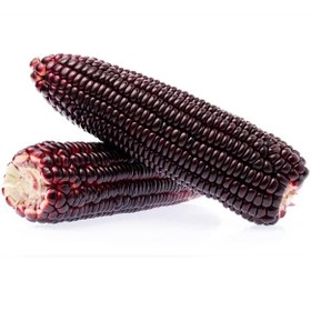 تصویر بذر ذرت بنفش 10 عددی 