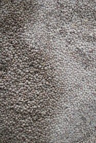 تصویر عدس درجه یک ایرانی - 10 کیلوگرم 