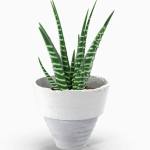 تصویر فروشگاه تاج از ما