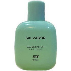 تصویر عطر سالوادور نایس 100 میلی لیتر ا Nice Eau De Parfum Salvador 100ml Nice Eau De Parfum Salvador 100ml