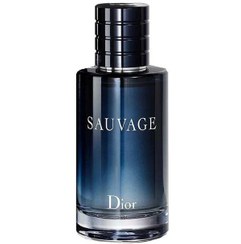 تصویر عطر مردانه فراگرنس پرشیا Sauvage Dior EDP 100ml Fragrance persian 116 