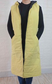 تصویر پافر با قد بلند 