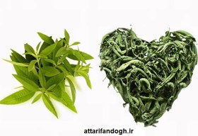 تصویر به لیمو سبز معطر 