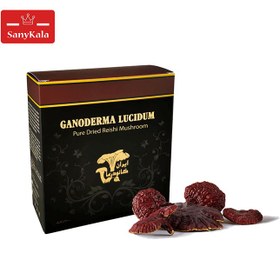 تصویر قارچ گانودرما لوسیدم آسیاب شده (درجه 1) Ganoderma lucidum (grade 1)