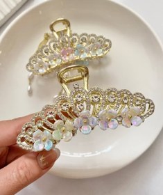 تصویر کلیپس شکوفه مجلسی 