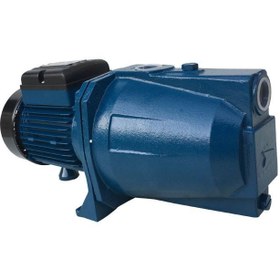 تصویر پمپ آب خانگی ارس مدل CAM100 ظرفیت ۱ اسب جتی 
