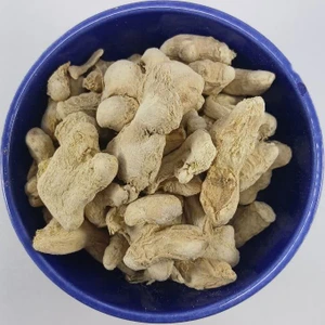 تصویر فروشگاه ایران سنتلا