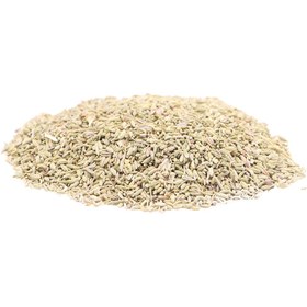 تصویر تخم رازیانه 