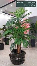 تصویر درختچه مصنوعی کنتیا 