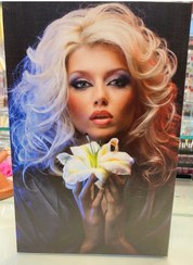 تصویر آلبوم لاکژل - کد۴ آلبوم ناخن