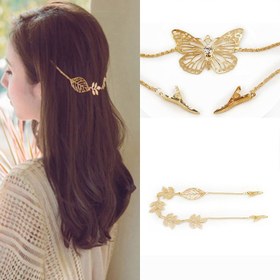 تصویر ریسه زنجیری پشت مو پروانه 