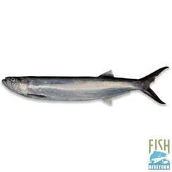 تصویر ماهی خارو-کامل 