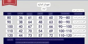 تصویر ست دو تیکه اسپرت وارداتی سوئیشرت با شلوار خرسی 1 تا 5 سال - طوسی / سایز 