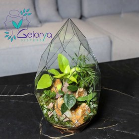 تصویر تراریوم دایموند vip 