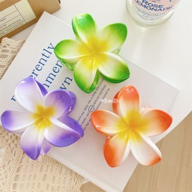 تصویر کلیپس موی پلومریا 