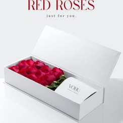 تصویر باکس گل ۱۲ شاخه رز قرمز تارادیس 