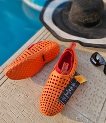 تصویر کراکس ساحلی Ccilu 