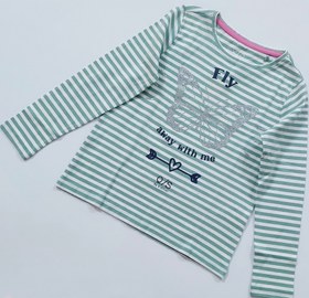 تصویر بلوز آستین بلند طرح fly 