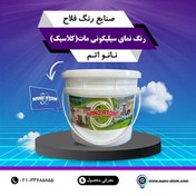 تصویر رنگ نمای سیلیکونی مات کلاسیک 