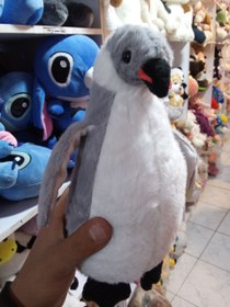 تصویر پنگوئن aaaa