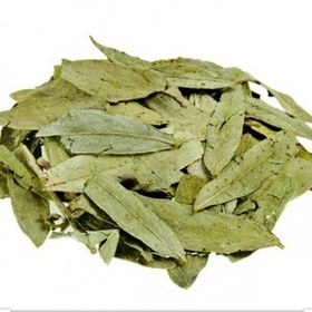 تصویر سنا مکی (۷۰ گرم) 