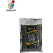 تصویر گیاه دارویی اسطوخودوس(Lavandula stoechas) مدل GPH6 