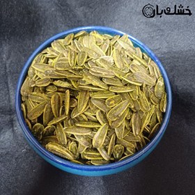 تصویر تخمه پیاز جعفری 