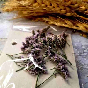 تصویر فروشگاه کافه رزین