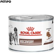 تصویر کنسرو ریکاوری رویال کنین سگ و گربه 195 گرم ا Royal Canin Recovery for Cats & Dogs 195g Royal Canin Recovery for Cats & Dogs 195g