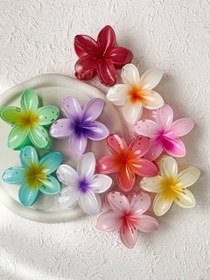 تصویر کلیپس پلیمریا بزرگ 