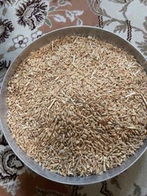 تصویر گندم درجه2 gandam