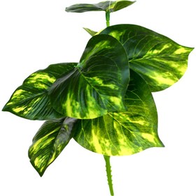 تصویر گیاه تزیینی آکواریوم مدل 1006 