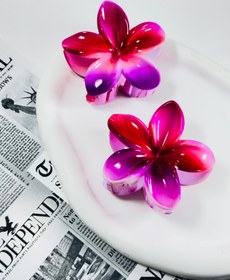 تصویر کلیپس پلومریابراق رنگین کمونی 