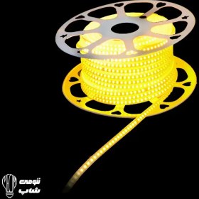 تصویر ریسه شلنگی 220ولت 